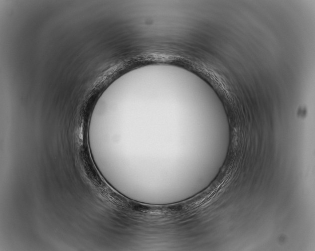 X0000101210358200806270859