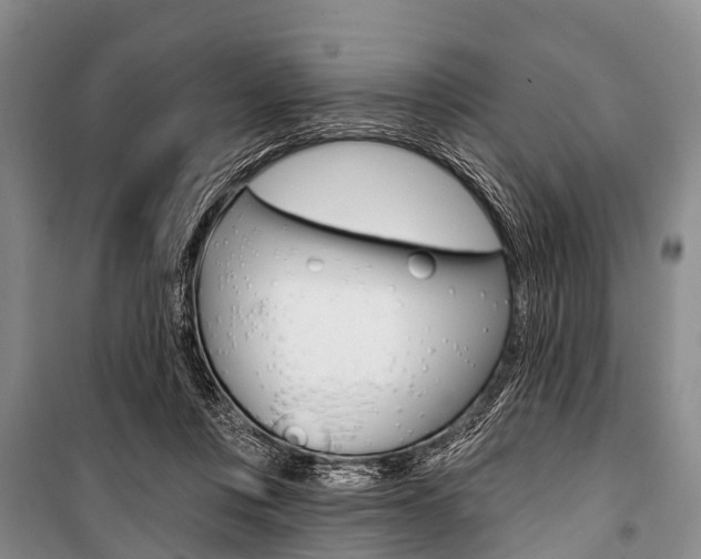 X0000101210359200806270859