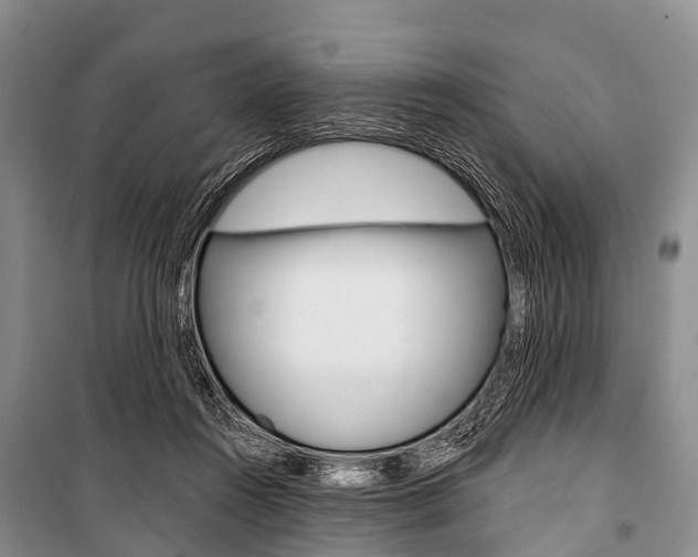 X0000101210360200806270859