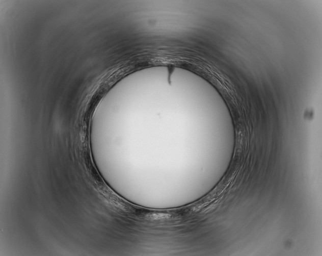 X0000101210361200806270859