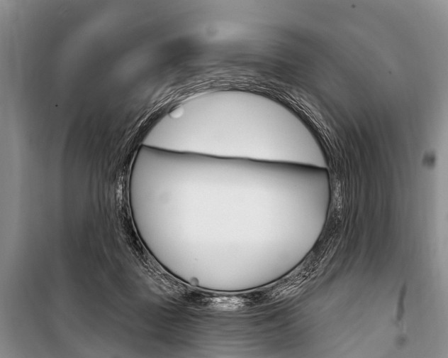 X0000101210363200806270859