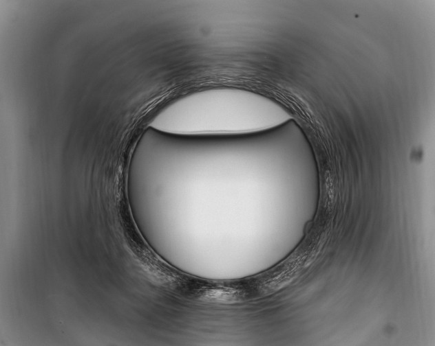 X0000101210364200806270859