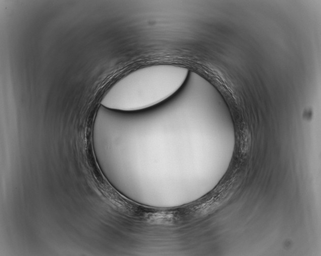 X0000101210366200806270859