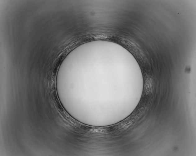 X0000101210367200806270859