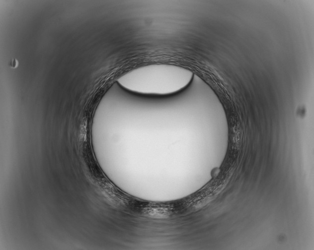 X0000101210368200806270859