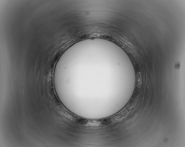 X0000101210369200806270859