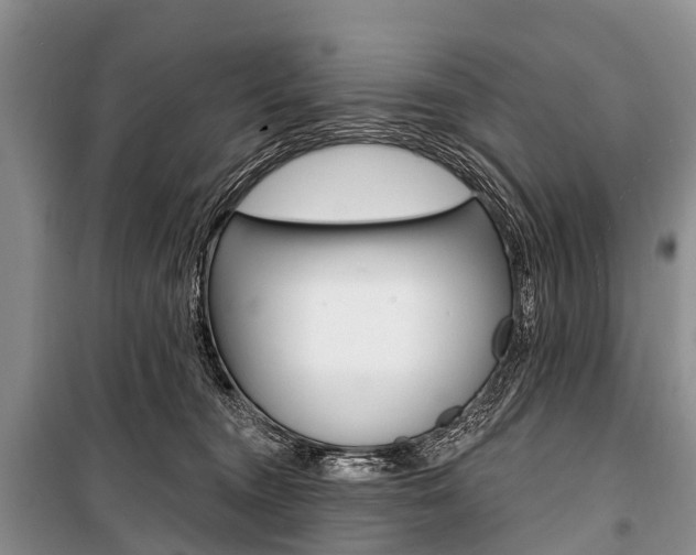 X0000101210372200806270859