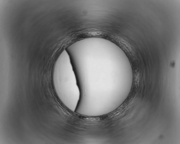 X0000101210373200806270859