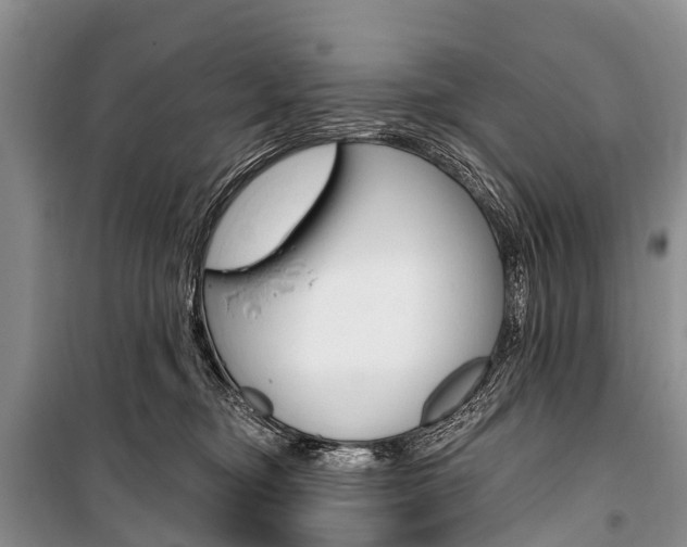 X0000101210374200806270859