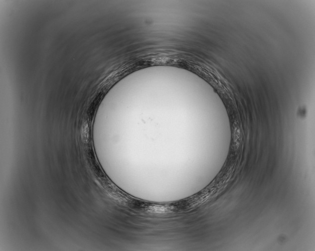 X0000101210375200806270859