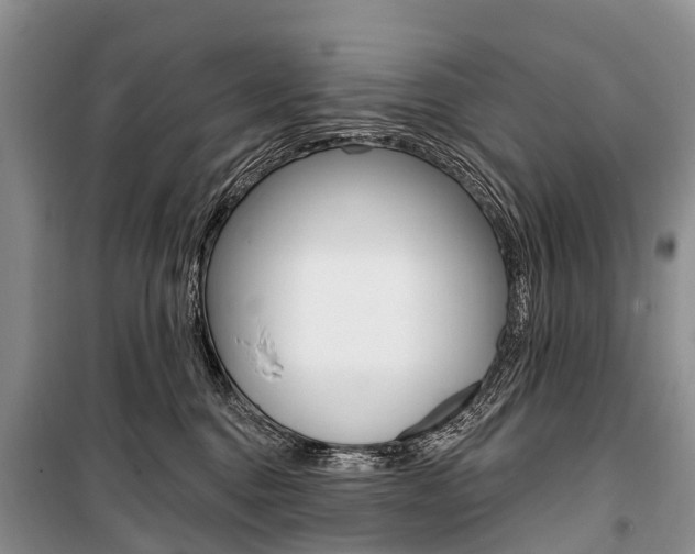 X0000101210376200806270859