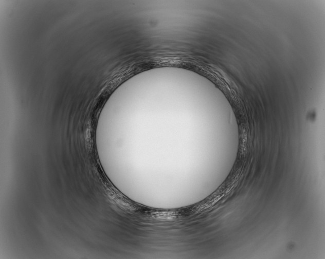 X0000101210377200806270859