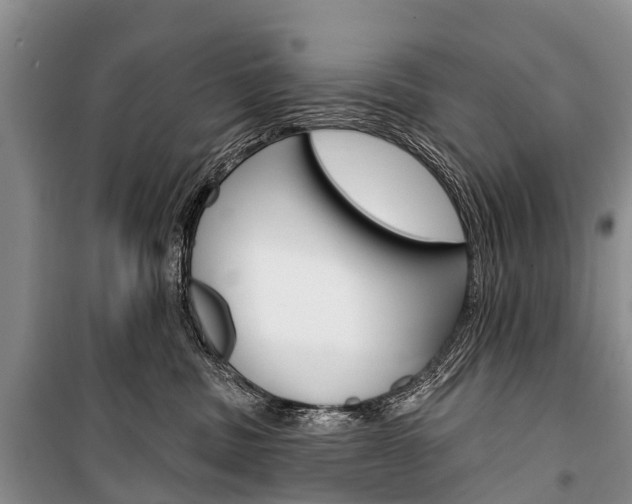 X0000101210379200806270859