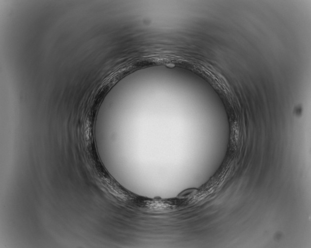 X0000101210380200806270859