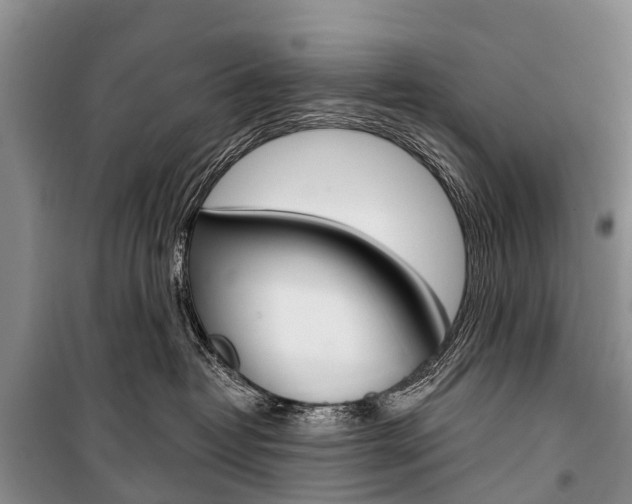 X0000101210382200806270859