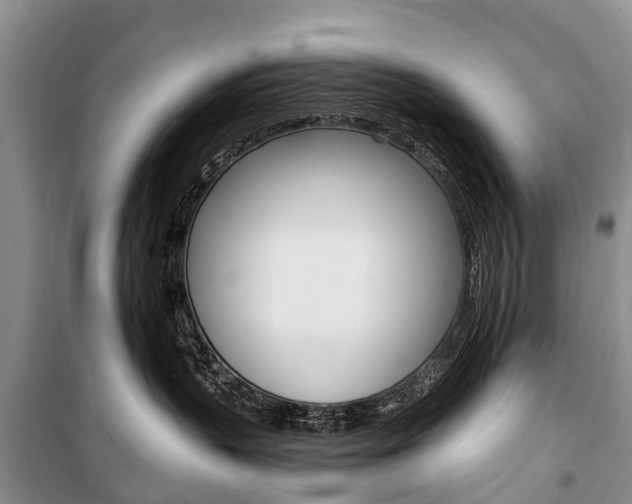 X0000101210383200806270859