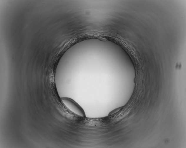 X0000101210384200806270859