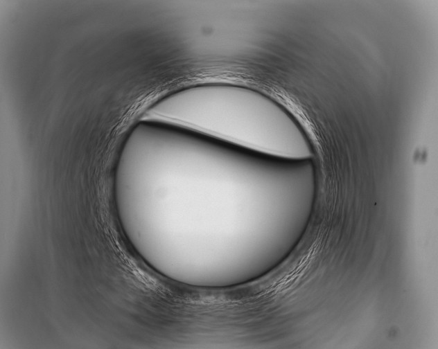 X0000101210385200806270859