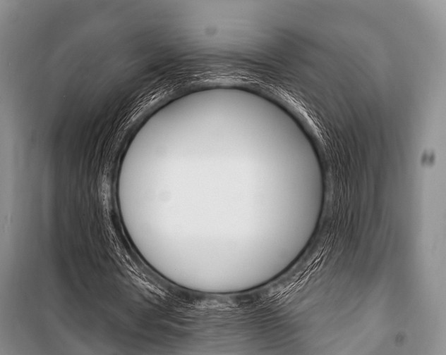 X0000101210386200806270859