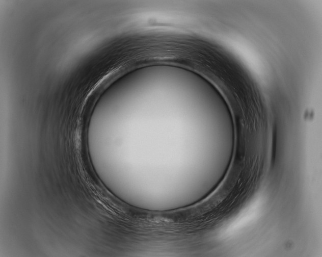 X0000101210387200806270859