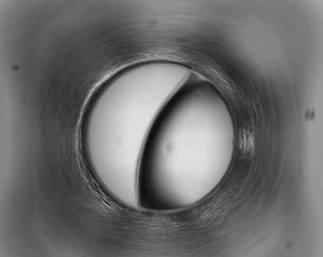 X0000101210388200806270859