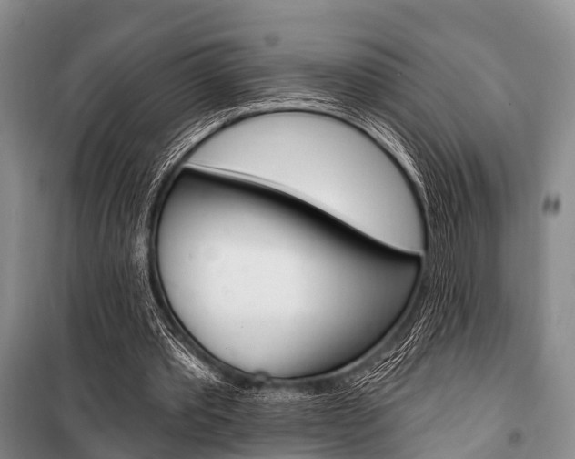 X0000101210389200806270859
