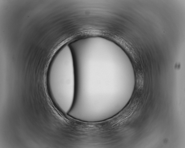 X0000101210390200806270859