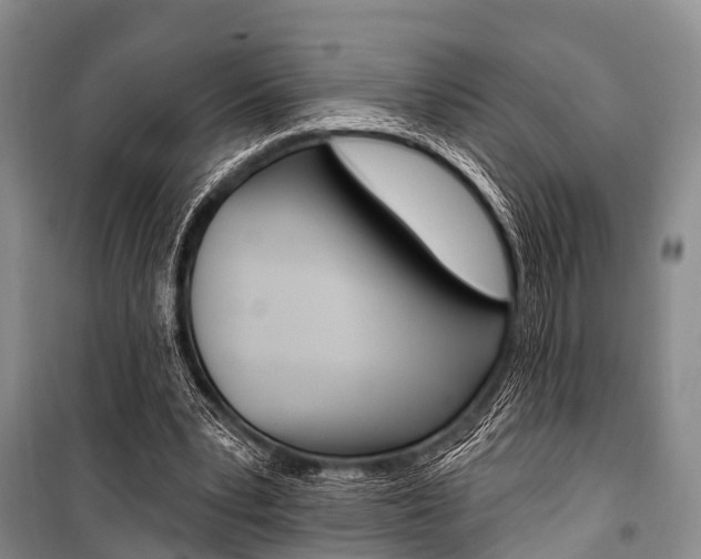 X0000101210391200806270859