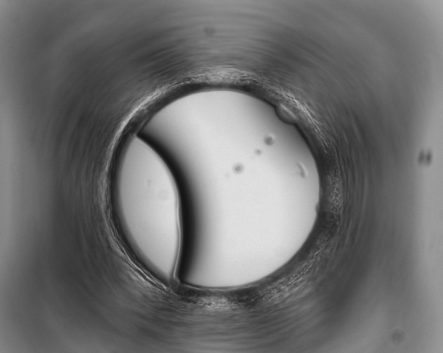 X0000101210392200806270859