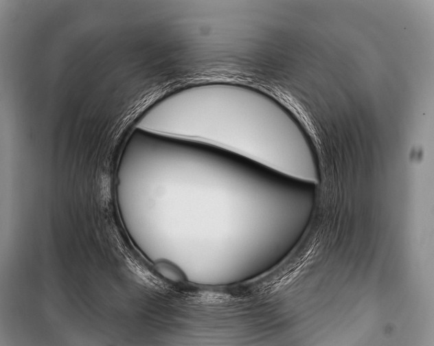 X0000101210393200806270859