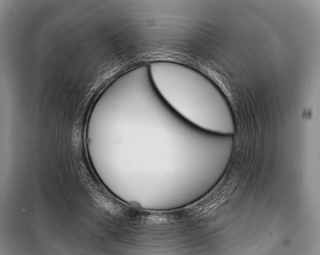 X0000101210394200806270859