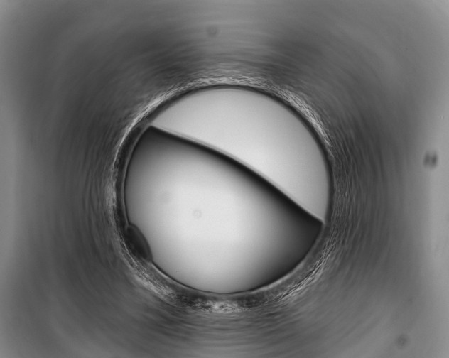 X0000101210395200806270858