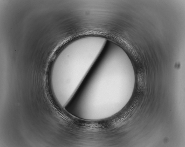 X0000101210396200806270858