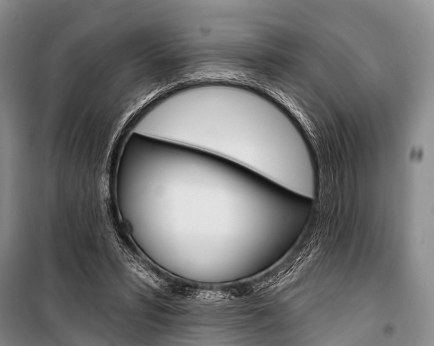 X0000101210399200806270858
