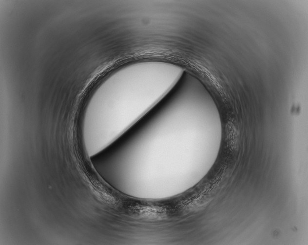 X0000101210400200806270858