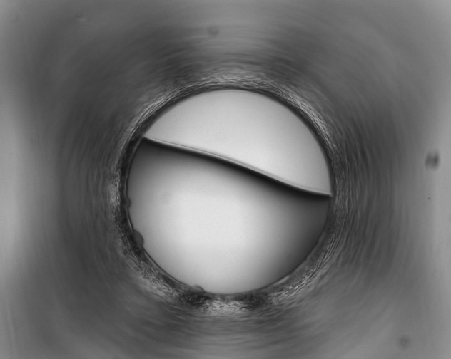 X0000101210403200806270858
