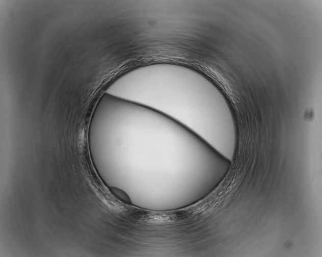X0000101210405200806270858