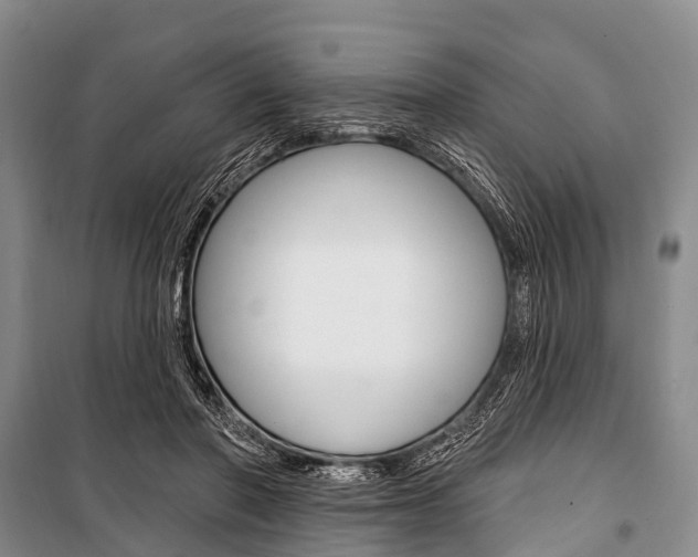 X0000101210406200806270858
