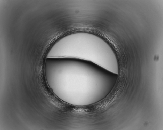 X0000101210407200806270858