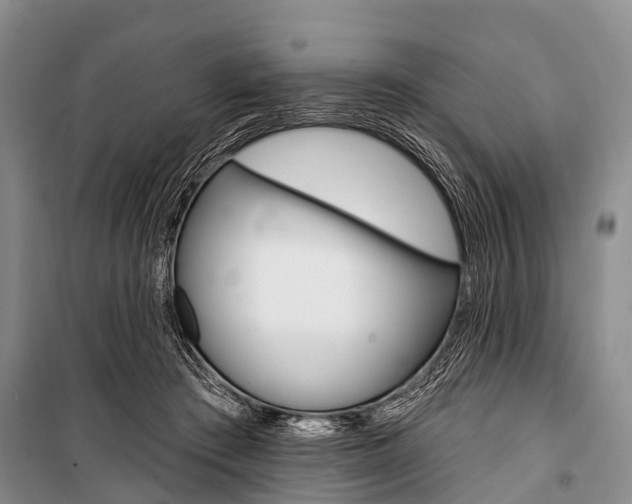 X0000101210409200806270858