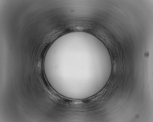 X0000101210410200806270858