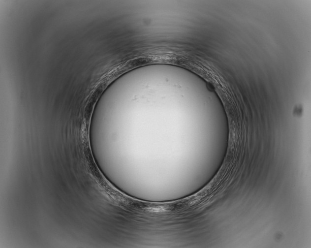 X0000101210411200806270858