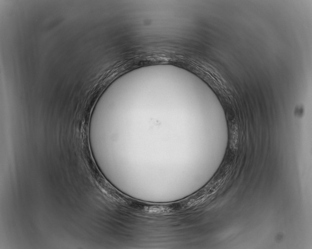 X0000101210414200806270858