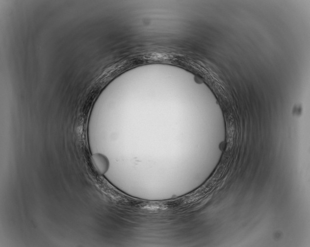 X0000101210415200806270858