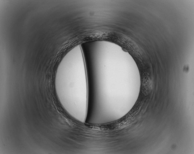 X0000101210416200806270858