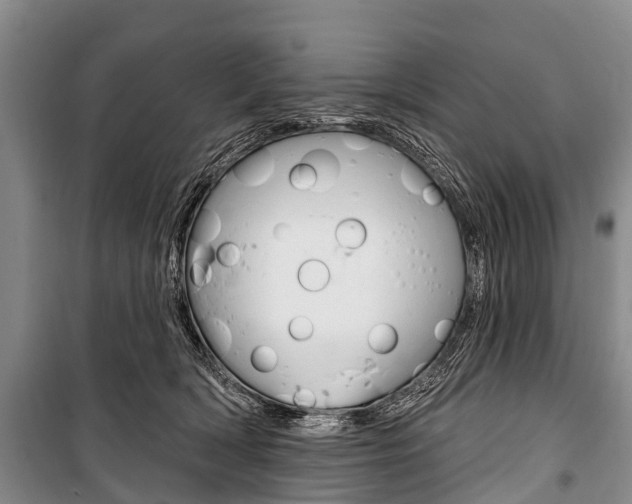 X0000101210418200806270858