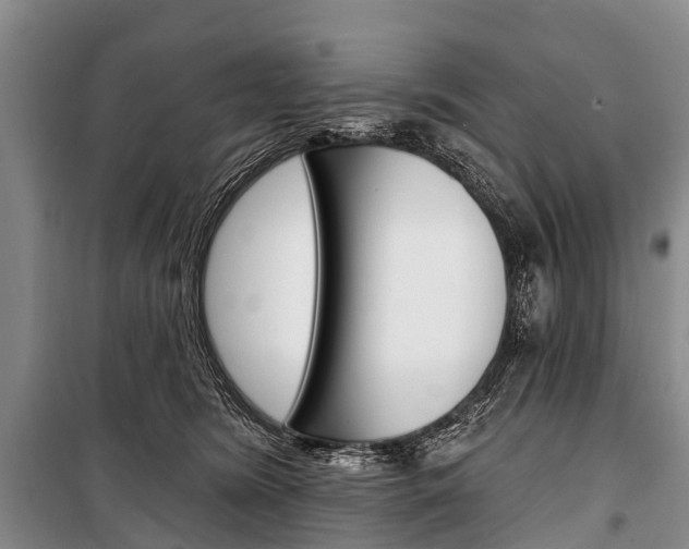 X0000101210420200806270858