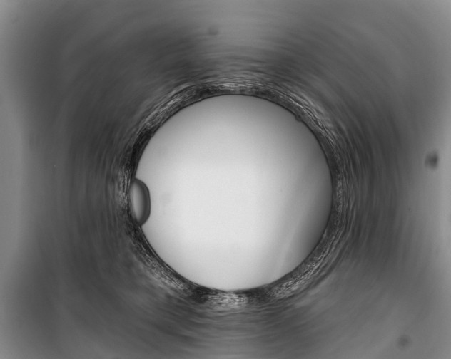 X0000101210421200806270858