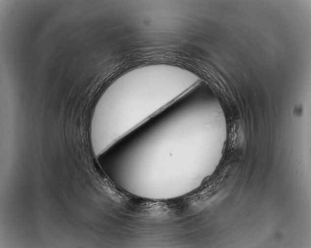 X0000101210424200806270858