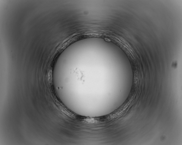 X0000101210425200806270858